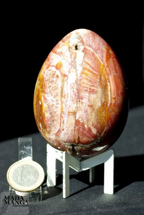 Uovo in Legno Fossile cm.8,3H