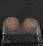 Moqui coppia maschio/femmina