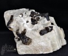 10516_p_vendita_minerali_da_collezione37.jpg