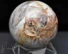 10530_p_sfera_in_legno_fossile09.jpg