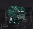 10575_p_dioptasio02.jpg