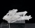 10581_p_quarzo_faden16.jpg