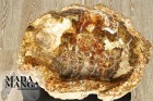 2540_p_Minerali e fossili39.JPG