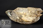 2548_p_legno fossile e minerali49.JPG