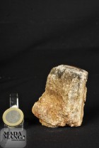 2581_p_legno fossile46.JPG