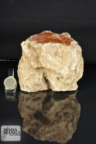 2694_p_minerali 32.JPG