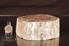 2775_p_tronchi legno fossile17.JPG