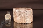 2777_p_tronchi legno fossile25.JPG