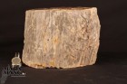 2835_p_tronchetti legno fossile37.JPG