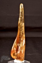 3405_p_ambra24.jpg