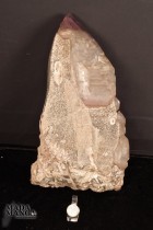 4843_p_quarzo_scettro1.jpg