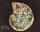 5446_p_fluorite_ottaedrica2.jpg