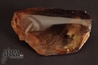 5506_p_quarzo_fume2.jpg