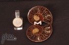 6127_p_ammoniti_fossili048.jpg