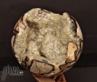 6542_p_geodi_septaria2.jpg