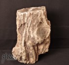 6679_p_legno_fossile027.jpg