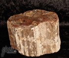 Tronchetto in legno fossile cm.7,5x6,2H
