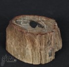 Tronchetto in legno fossile cm.3,4H