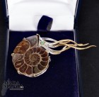 Spilla in argento con Ammonite fossile