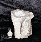 8668_p_legno_fossile38.jpg