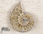 8979_p_ciondoli_con_fossili18.jpg