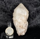 9259_p_quarzi_maestri30.jpg