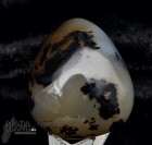 9356_p_agate_da_collezione18.jpg
