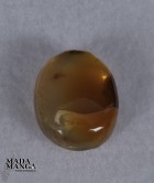 9410_p_opali14.jpg
