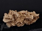 9991_p_rosa_del_deserto5.jpg