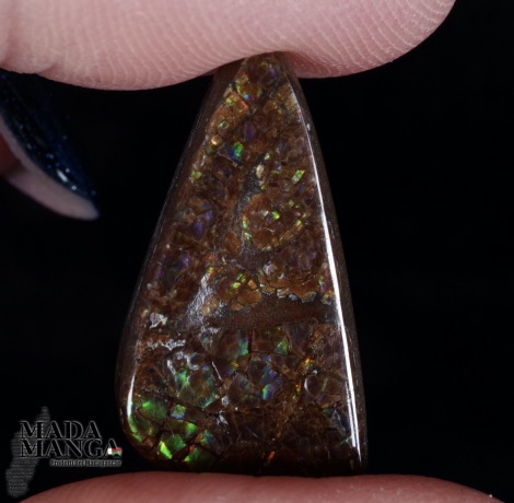 Ammolite ct.16,40