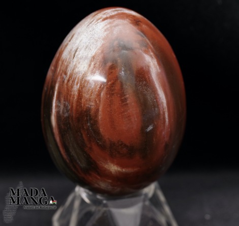 Uovo in Legno fossile cm.6,2H