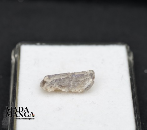 10451_p_fossili_opalizzati02.jpg