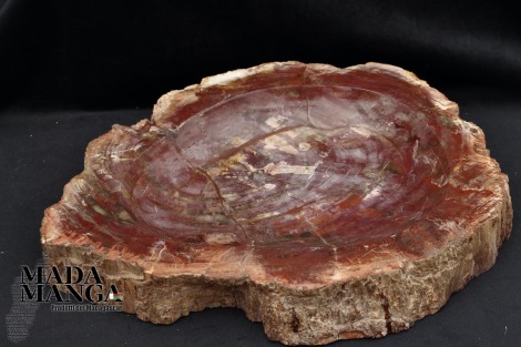 Vaschetta in Legno Fossile cm.31x23
