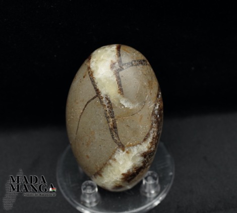 Septaria in forma libera