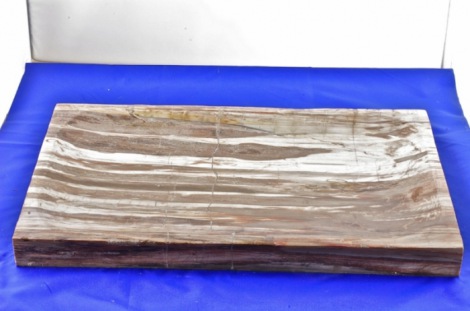 vassoio in legno fossile 25x40 cm