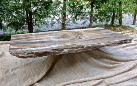 Tavolo legno fossile