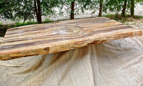 Tavolo in legno fossile 120x58 cm