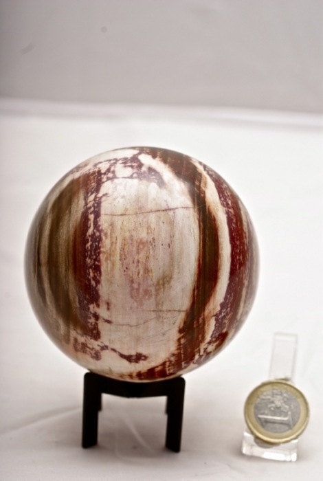 Sfera in legno fossile 82 mm diametro