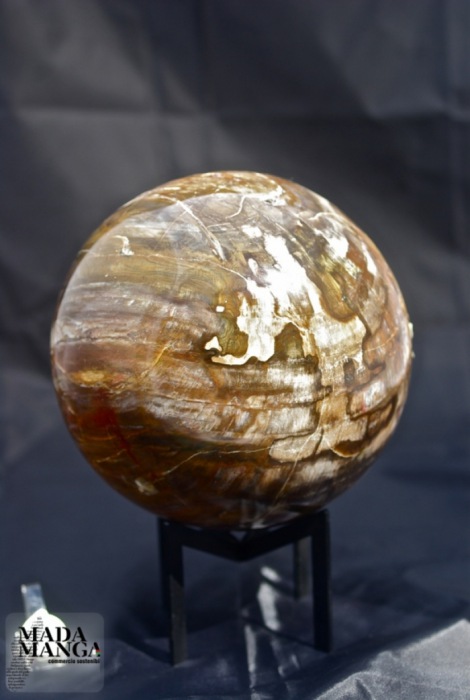 Grande sfera di legno fossile diametro. cm.19