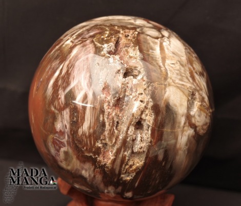 Sfera in Legno Fossile da cm.15,80