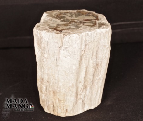 Tronchetto di Legno Fossile cm.5,6x7H