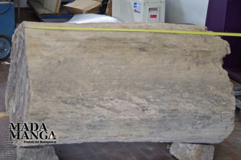 Grande tronco di legno fossile kg.1600