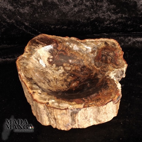 Svuota tasche in Legno Fossile cm.12x12,5