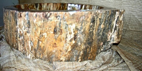 lavandino in legno fossile con corteccia