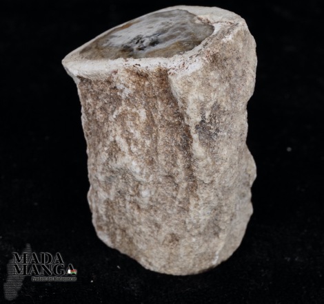 Tronchetto in legno fossile cm.4,2H