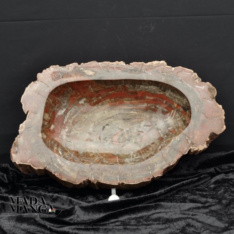 Vaschetta in Legno Fossile cm.47x27