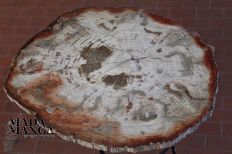 Tavolo legno fossile ovale cm.68,5x55
