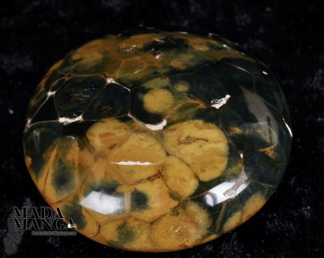 Diaspro Oceanico in forma libera