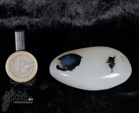 Agata Dendritica in forma libera