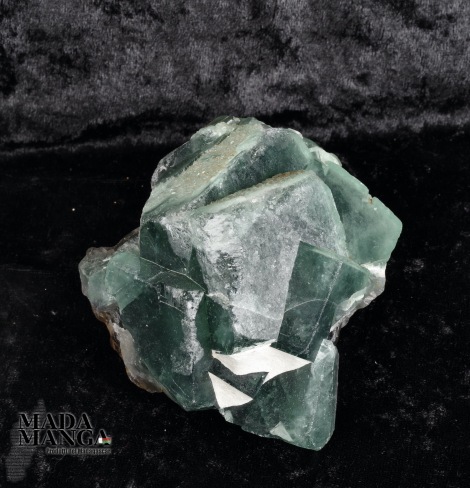 Fluorite cubica su matrice